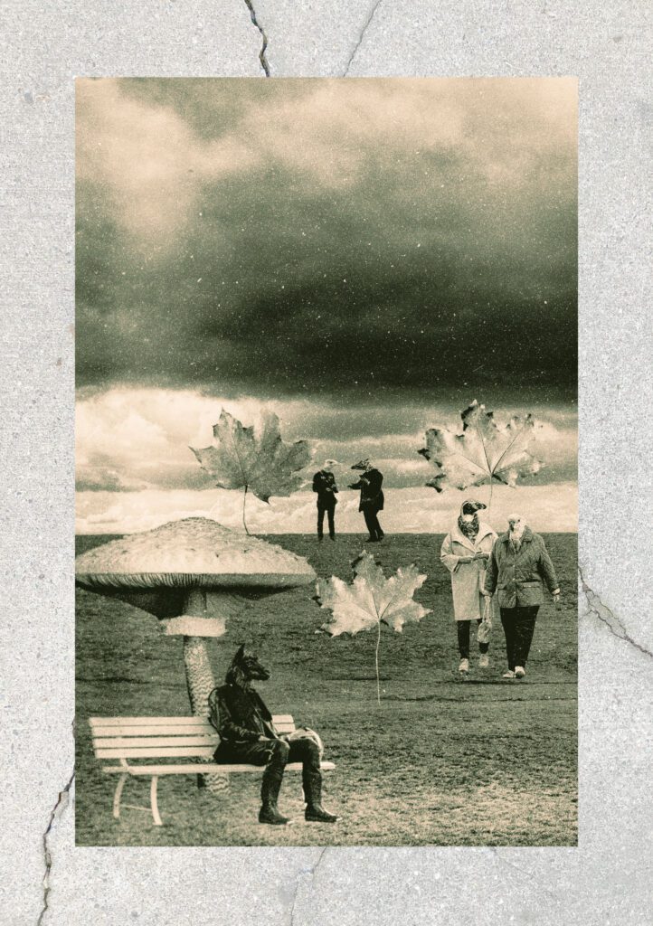The Wild Within - Flyer - Seite 4